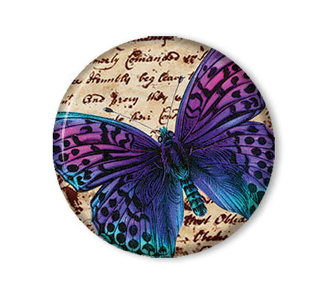 Iridescent Butterfly