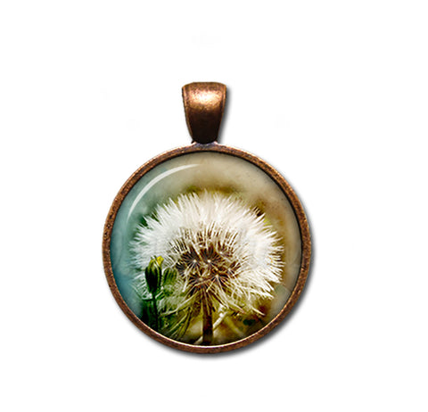 Stunning Dandelion