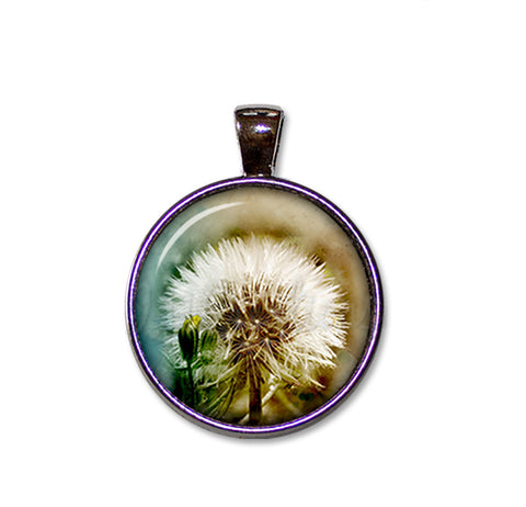 Stunning Dandelion