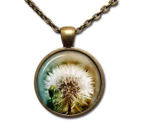 Stunning Dandelion