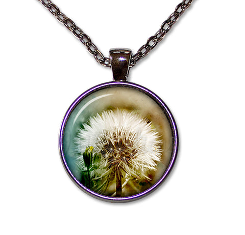 Stunning Dandelion