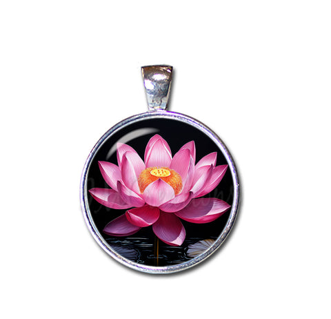 Fuchsia Lotus