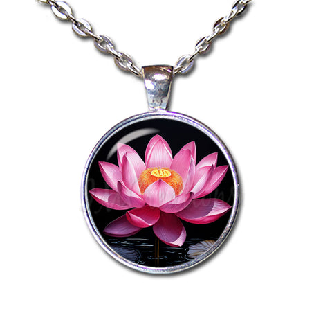 Fuchsia Lotus