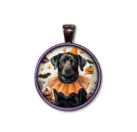 Halloween Black Lab in Costume