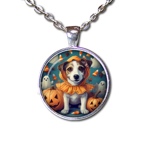 Halloween Jack Russell in Costume