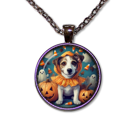Halloween Jack Russell in Costume