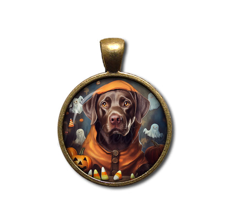 Halloween Chocolate Labrador in Costume