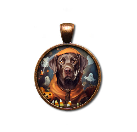 Halloween Chocolate Labrador in Costume