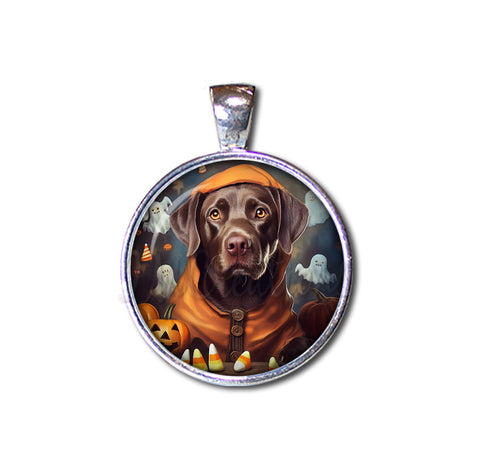 Halloween Chocolate Labrador in Costume