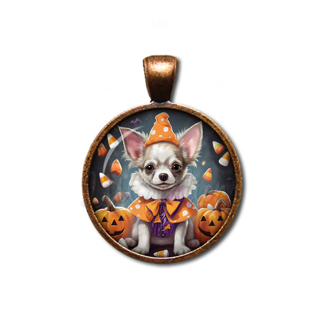 Halloween Chihuahua Dog in Costume