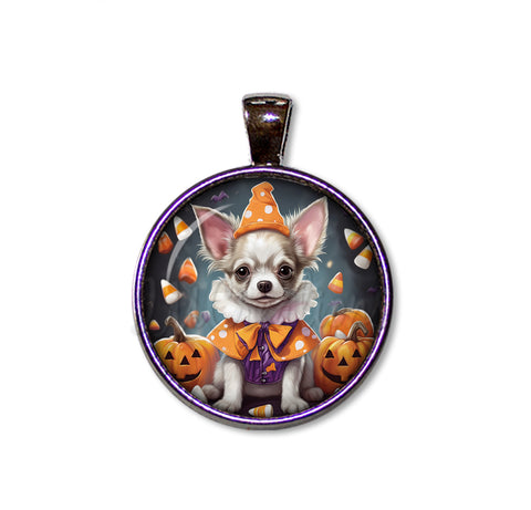 Halloween Chihuahua Dog in Costume