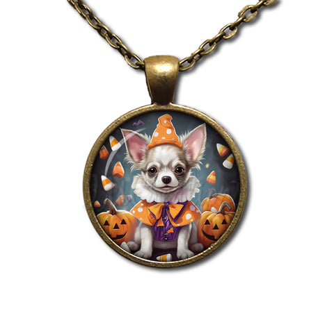 Halloween Chihuahua Dog in Costume