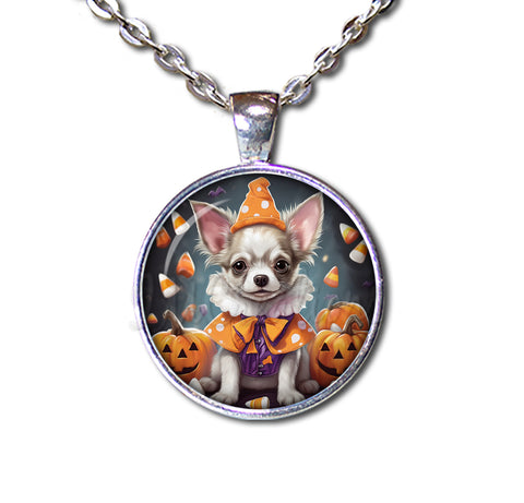 Halloween Chihuahua Dog in Costume