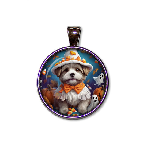 Halloween Cute Terrier Pup in Costume