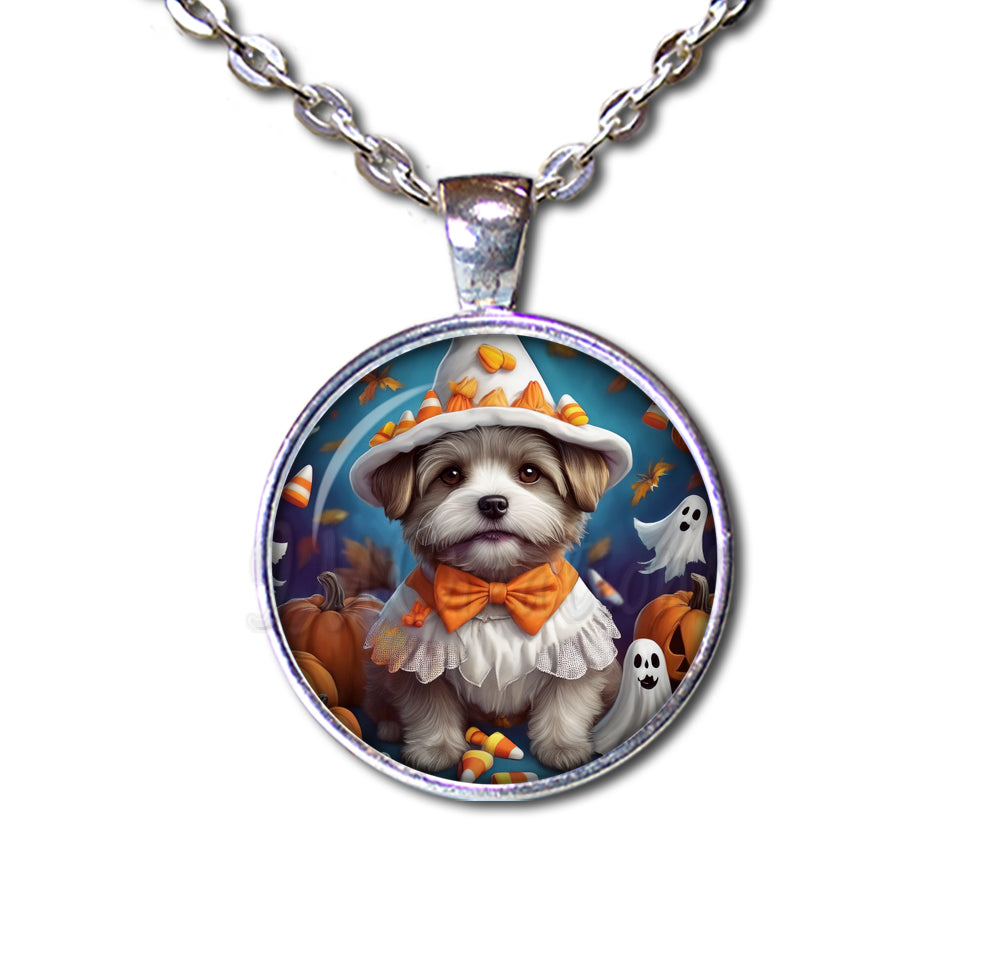 Halloween Cute Terrier Pup in Costume