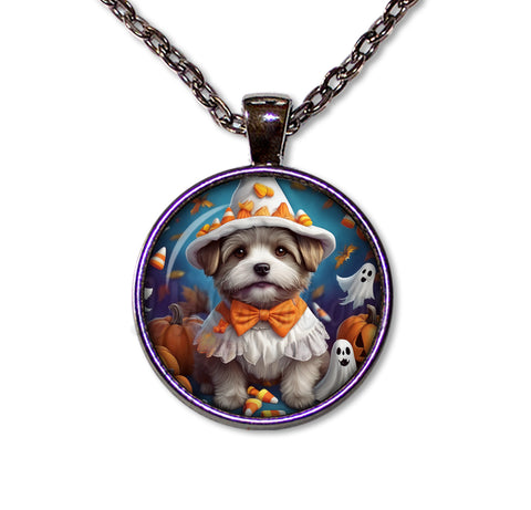 Halloween Cute Terrier Pup in Costume
