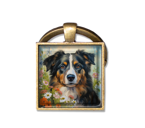 Adorable Tri-Colored Australian Shepherd