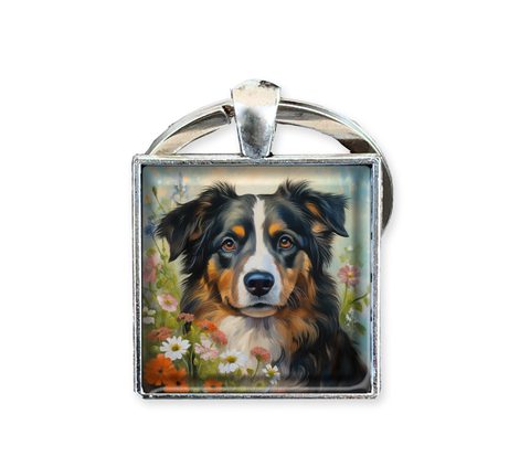 Adorable Tri-Colored Australian Shepherd