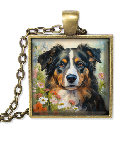 Adorable Tri-Colored Australian Shepherd