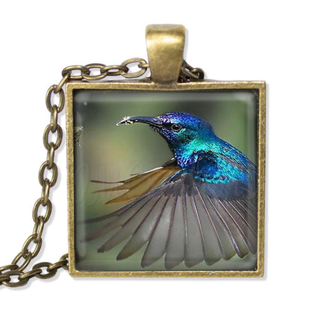 Lovely Blue Flying Hummingbird