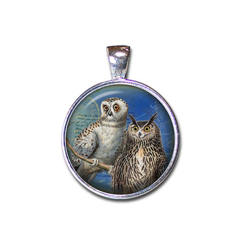Couple of Owls Perched