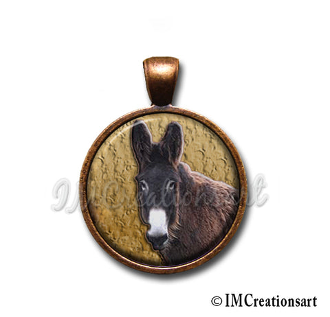 Poitou Mare Donkey