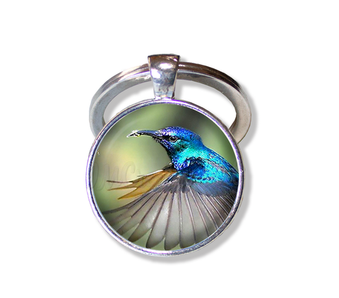 A Flying Hummingbird