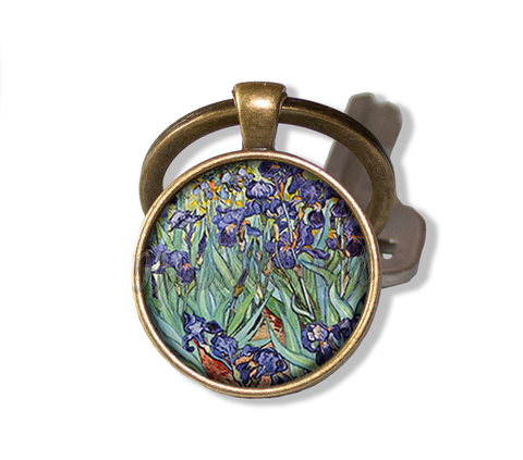 Van Gogh's Irises