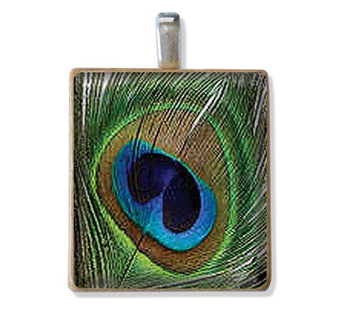 Peacock Eye Feather