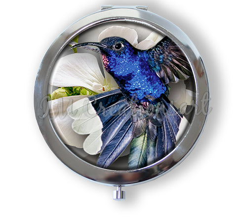Stunning Royal Blue Hummingbird