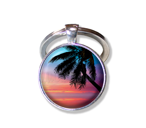 The Tropics