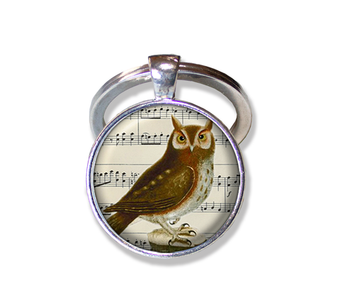 Musical Score Owl