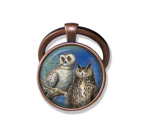Couple of Owls Perched
