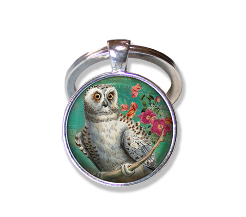 Perched Barn Owl