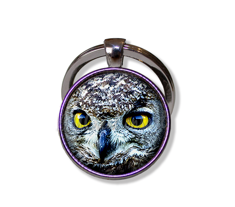 Looking Owl