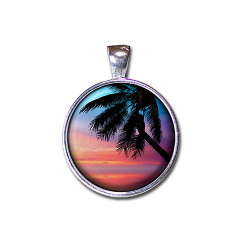 The Tropics