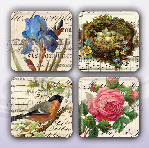Victorian Nature Collection